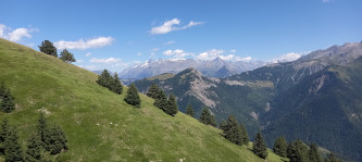 Vue sur la montagne encore verte